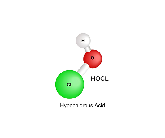 How HOCL Kills Bacteria